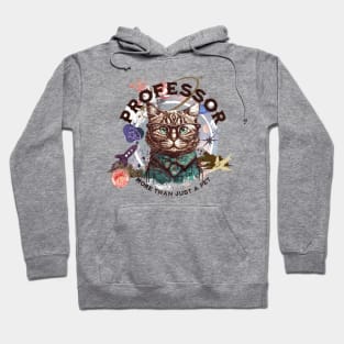 Professor cat - part-time pet - more than just a pet Hoodie